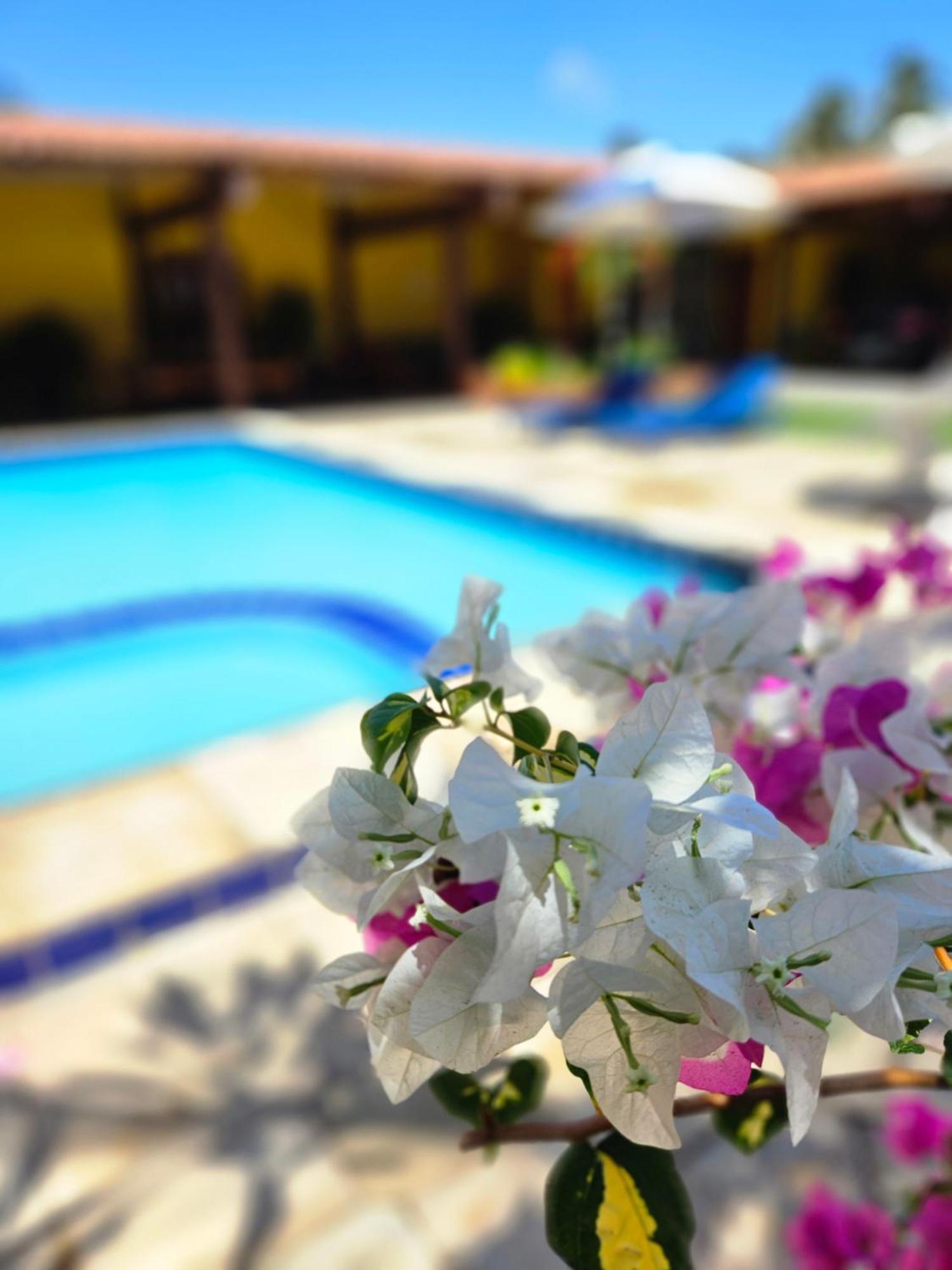 06 - Na Do Futuro Com Piscina. *